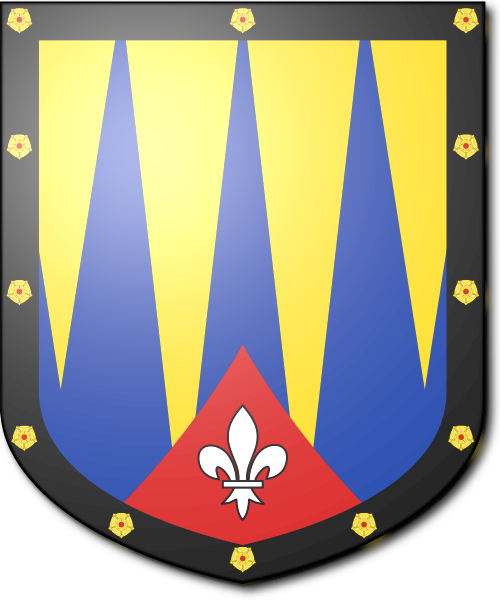 Shield image