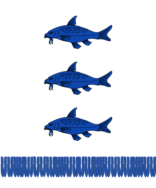 Shield image