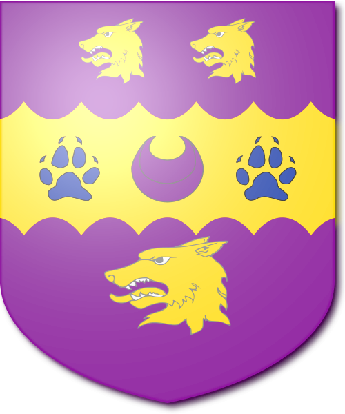 Shield image