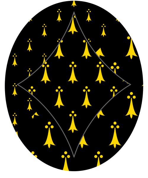Shield image