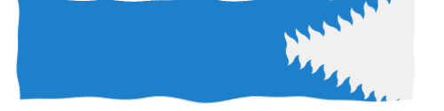 Shield image