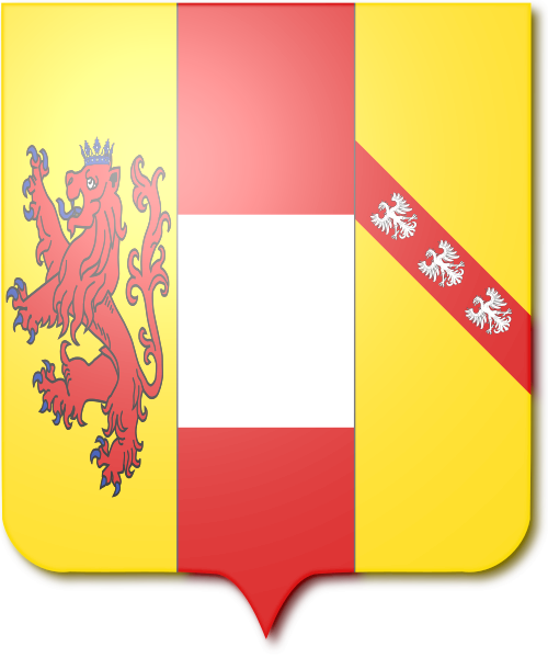 Shield image