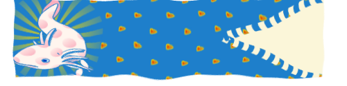 Shield image
