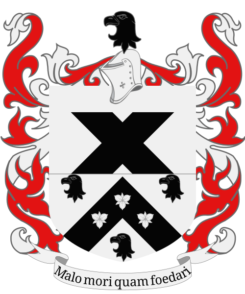 Shield image