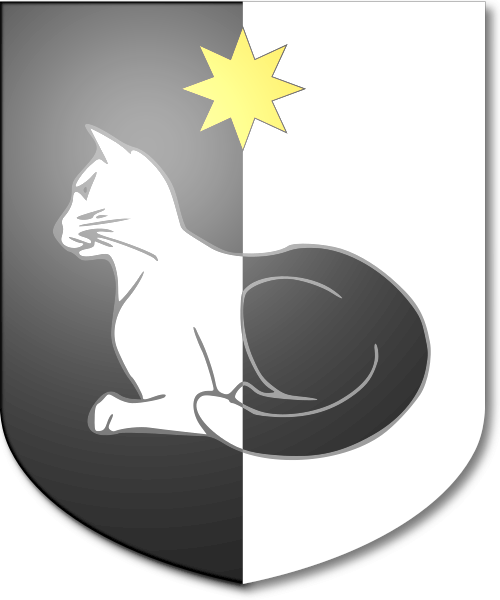 Shield image