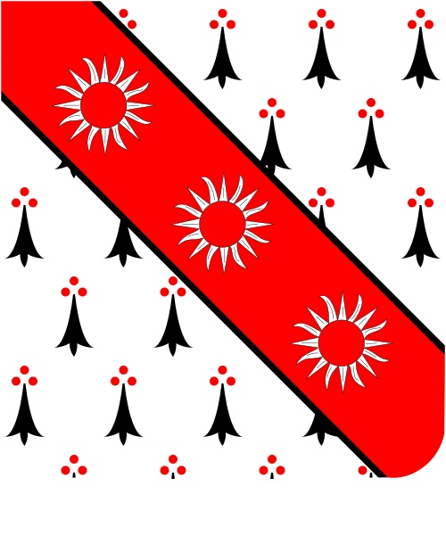 Shield image