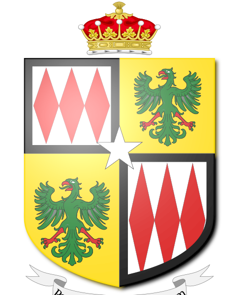 Shield image