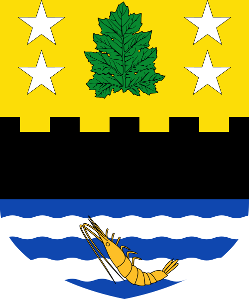 Shield image