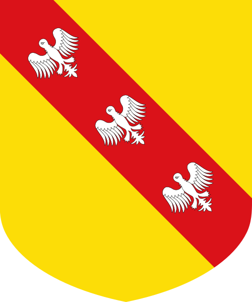 Shield image