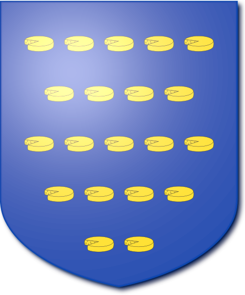 Shield image