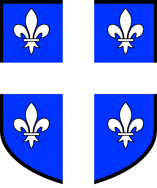 Shield image