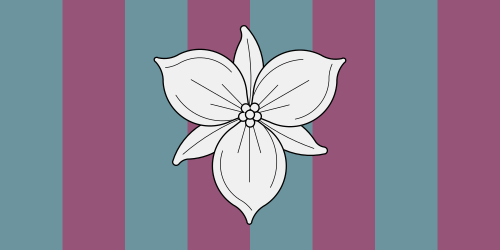Shield image