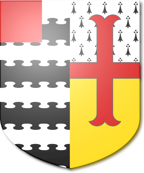 Shield image