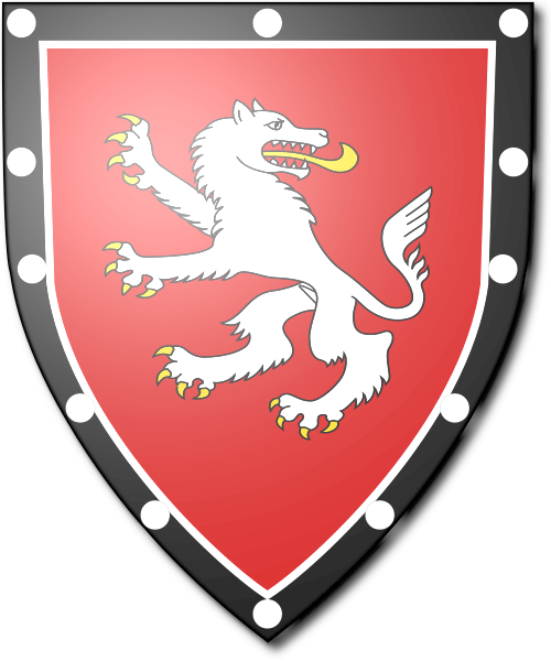 Shield image