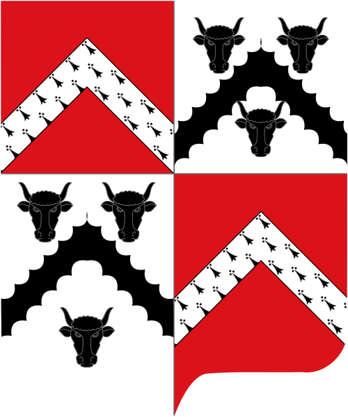 Shield image