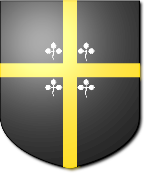 Shield image