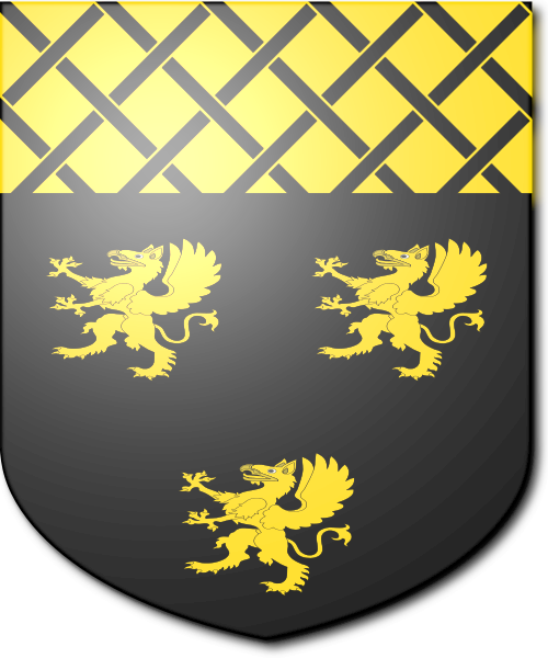 Shield image