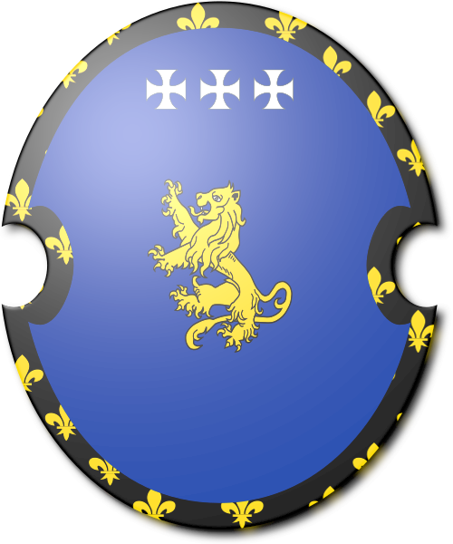 Shield image