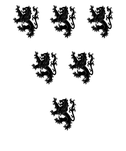 Shield image