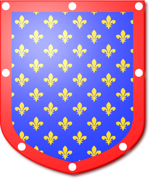 Shield image