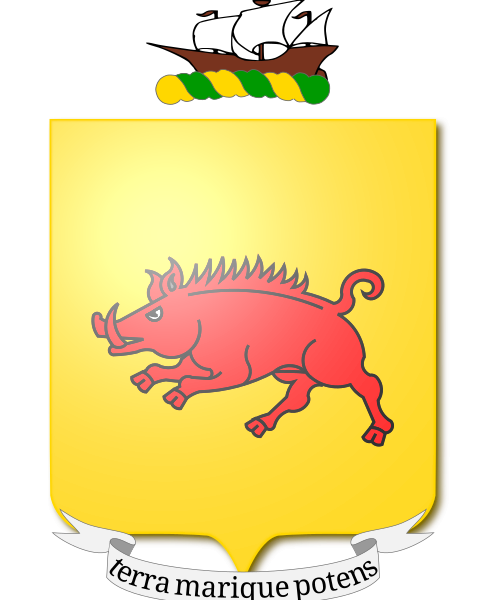 Shield image