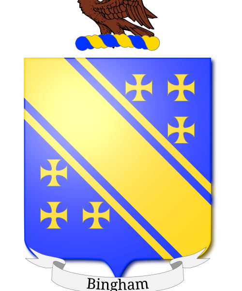 Shield image