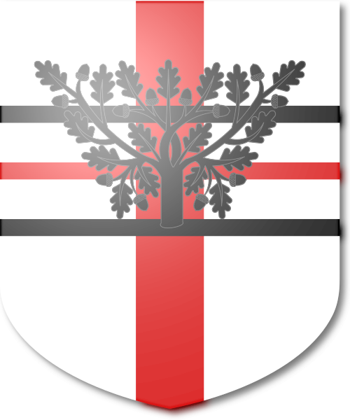 Shield image