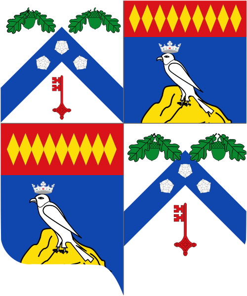 Shield image