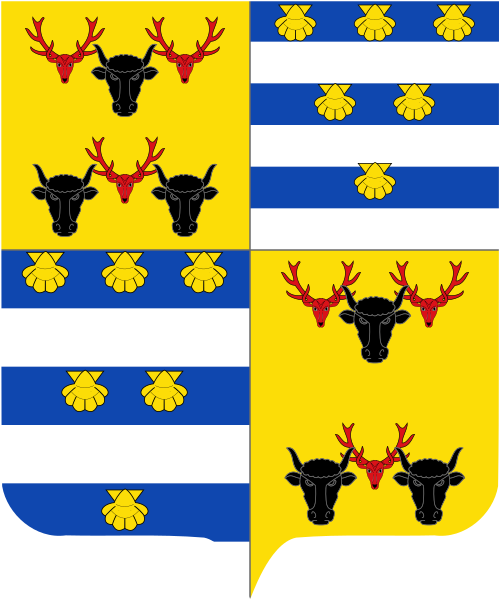 Shield image