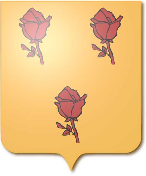 Shield image