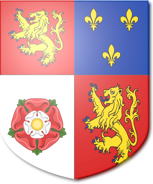 Shield image