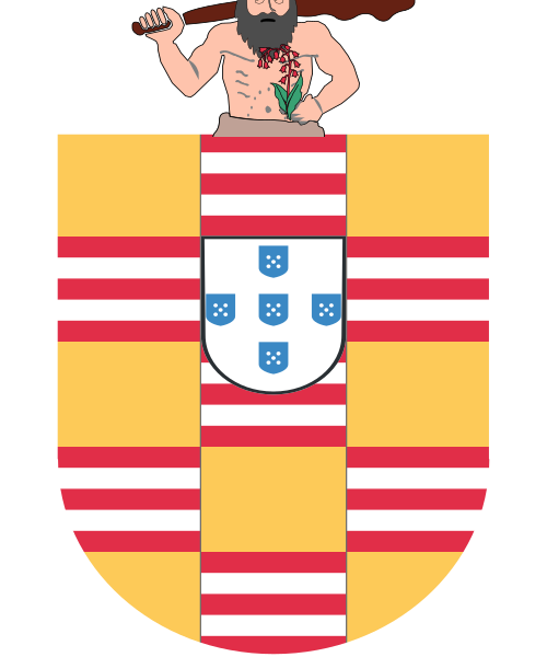 Shield image