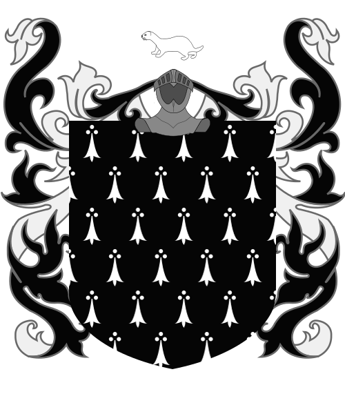 Shield image
