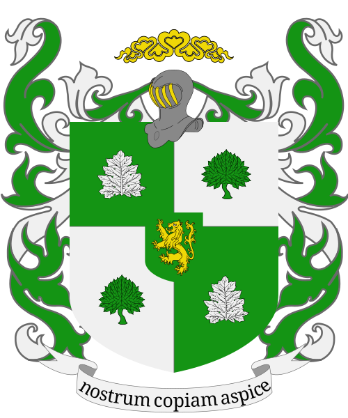 Shield image