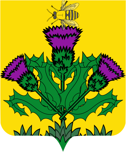Shield image