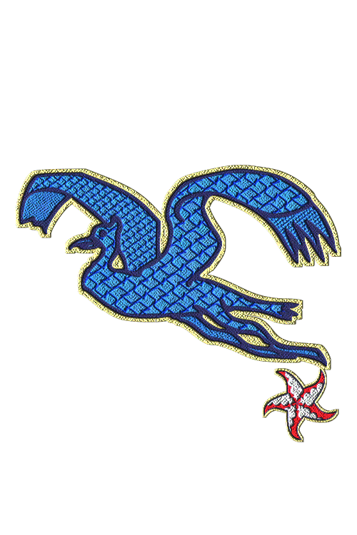 Shield image