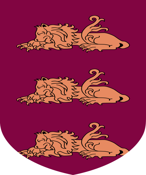 Shield image