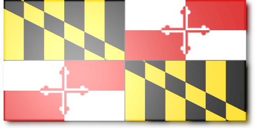 Shield image