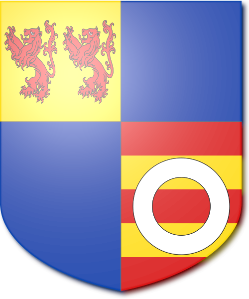 Shield image