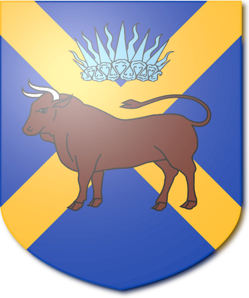 Shield image