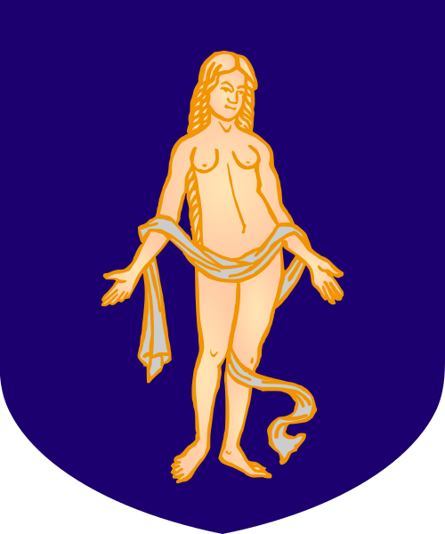 Shield image