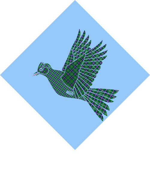 Shield image