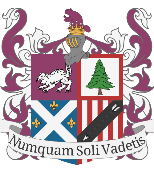 Shield image
