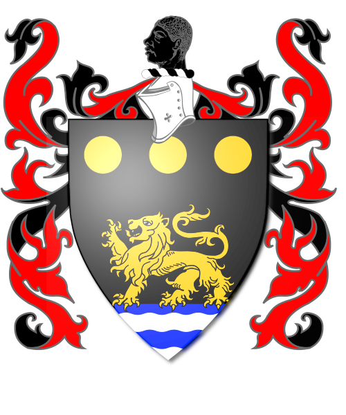 Shield image