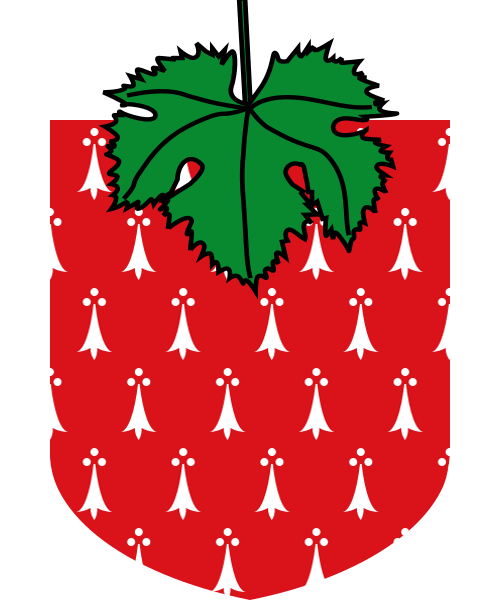 Shield image