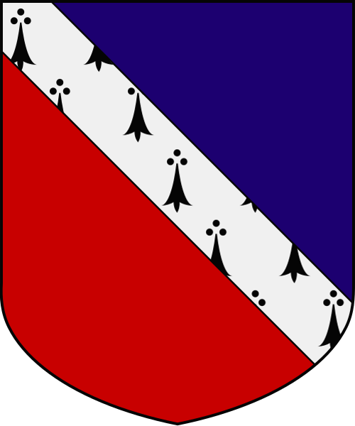 Shield image