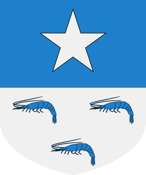 Shield image