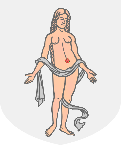 Shield image