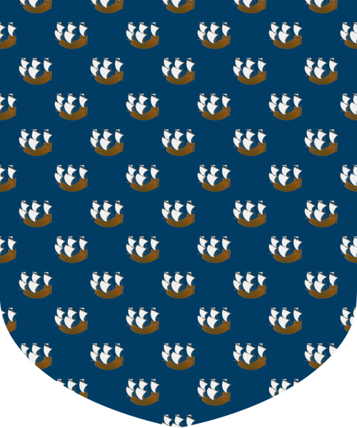 Shield image