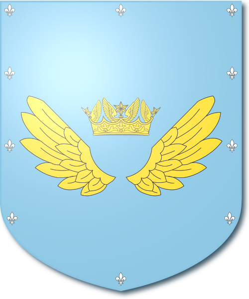 Shield image